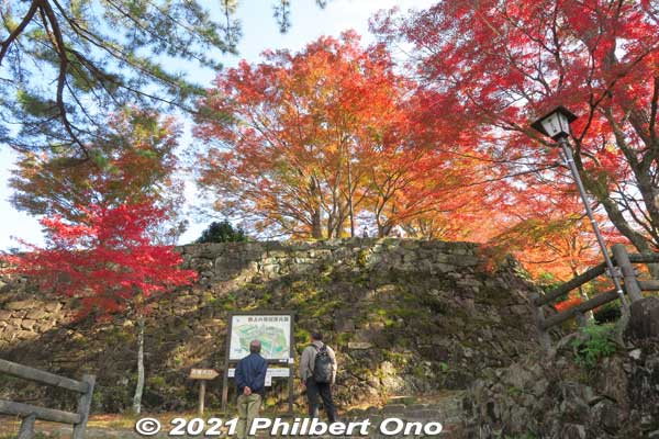 Finally reached the bottom of the castle grounds. Fall leaves already pretty in mid-November.
Keywords: gifu Gujo Hachiman Castle autumn foliage leaves maples