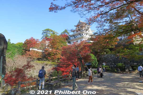 View of Gujo-Hachiman Castle and fall leaves.
Keywords: gifu Gujo Hachiman Castle autumn foliage leaves maples