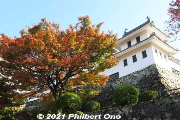 Gujo-Hachiman Castle corner turret.
Keywords: gifu Gujo Hachiman Castle autumn foliage leaves maples