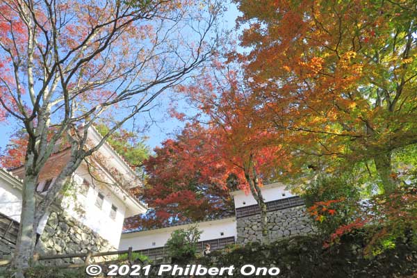 Another corner turret.
Keywords: gifu Gujo Hachiman Castle autumn foliage leaves maples