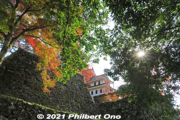 Gujo-Hachiman Castle turret and autumn foliage.
Keywords: gifu Gujo Hachiman Castle autumn foliage leaves maples