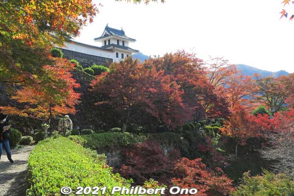 Gujo-Hachiman Castle corner turret and autumn foliage.
Keywords: gifu Gujo Hachiman Castle autumn foliage leaves maples