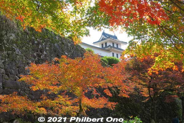 Gujo-Hachiman Castle corner turret and autumn foliage.
Keywords: gifu Gujo Hachiman Castle autumn foliage leaves maples japancastle