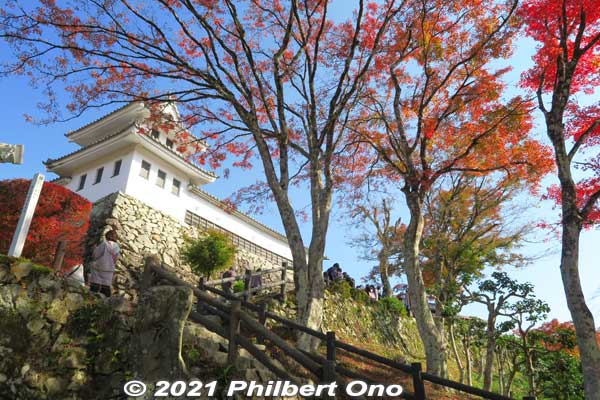 Keywords: gifu Gujo Hachiman Castle autumn foliage leaves maples