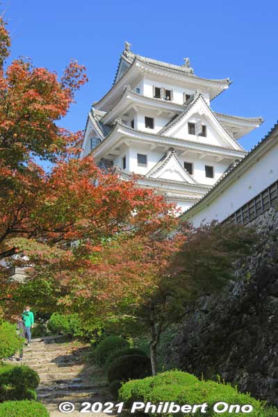 Main tower.
Keywords: gifu Gujo Hachiman Castle autumn foliage leaves maples
