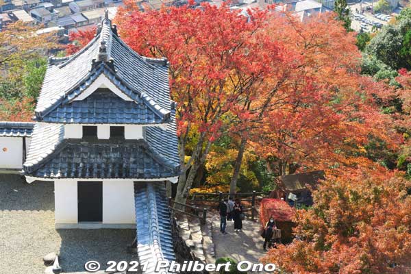 Corner turret.
Keywords: gifu Gujo Hachiman Castle autumn foliage leaves maples