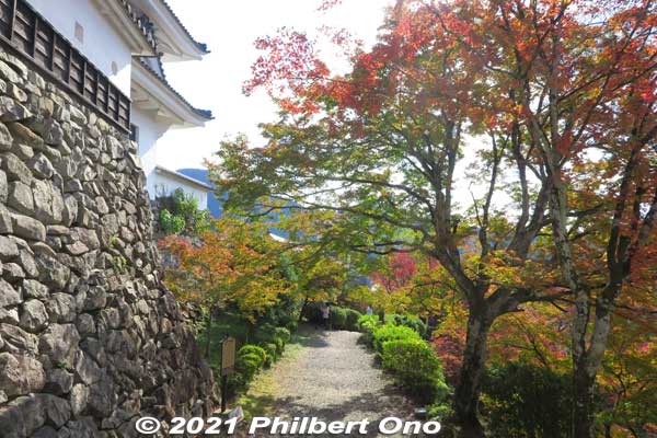 Keywords: gifu Gujo Hachiman Castle autumn foliage leaves maples