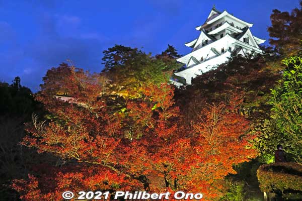 It was kind of tiring to climb up the mountain for the second on the same day to see the evening light-up. But it was worth it. Took 20 min. to take some quick photos before going back down to catch the bus back to Gifu Station.
Keywords: gifu Gujo Hachiman Castle autumn foliage leaves maples