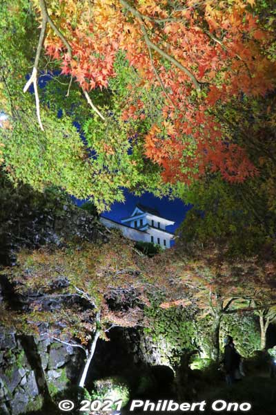 Gujo-Hachiman Castle's corner turret and autumn leaves lit up in the evening
Keywords: gifu Gujo Hachiman Castle autumn foliage leaves maples