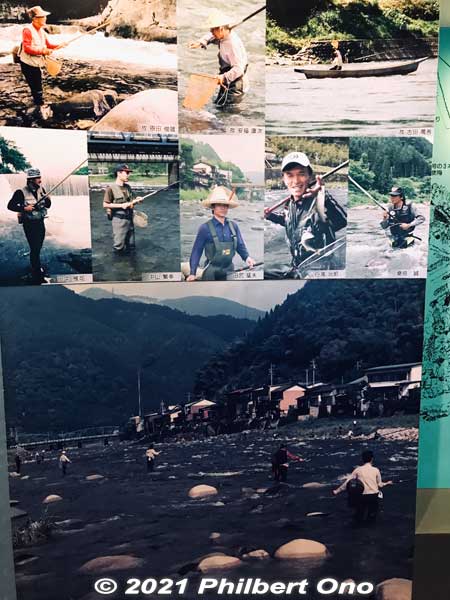 River fishing in Gujo.
Keywords: gifu Gujo Hachiman Hakurankan museum