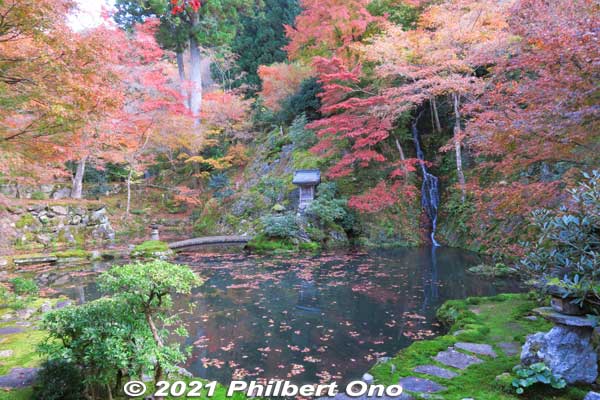 Keywords: gifu gujo hachiman jionji jionzenji zen Buddhist temple tessoen garden fall autumn leaves foliage