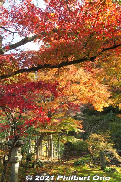 Keywords: gifu gujo hachiman jionji jionzenji zen Buddhist temple tessoen garden fall autumn leaves foliage