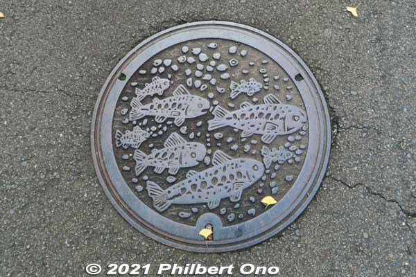 Gujo-Hachiman manhole has ayu sweetfish design.
Keywords: gifu gujo hachiman manhole