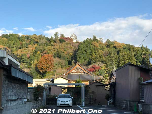 Gujo-Hachiman Castle seen from the street.
Keywords: gifu gujo hachiman kitamachi