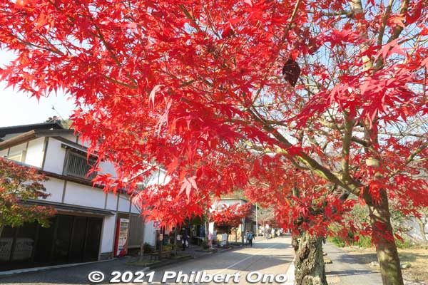 Keywords: gifu ibigawa tanigumi-san kegonji temple tendai Buddhist autumn leaves foliage