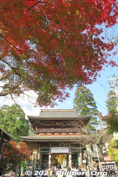 Niomon Gate. Getting closer to the main worship hall.
Keywords: gifu ibigawa tanigumi-san kegonji temple tendai Buddhist autumn leaves foliage