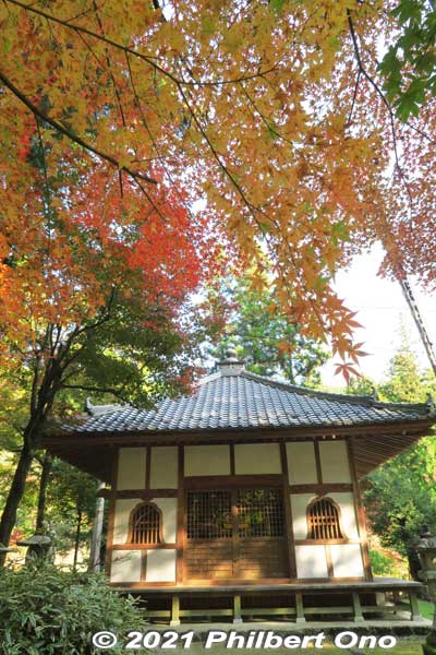 Rakando Hall 羅漢堂
Keywords: gifu ibigawa tanigumi-san kegonji temple tendai Buddhist autumn leaves foliage