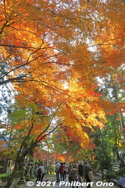 Keywords: gifu ibigawa tanigumi-san kegonji temple tendai Buddhist autumn leaves foliage
