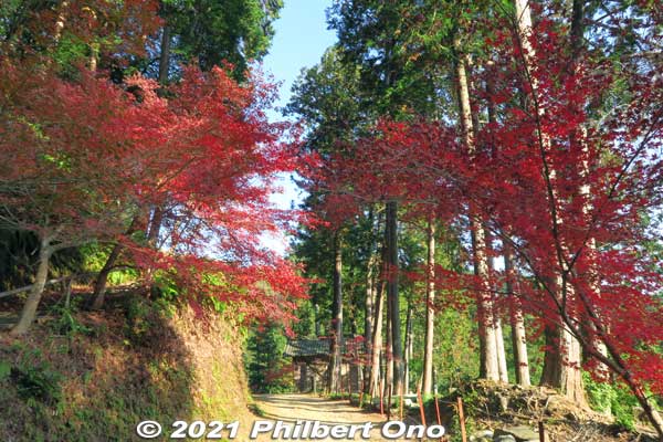 Keywords: gifu ibigawa tanigumi-san kegonji temple tendai Buddhist autumn foliage leaves