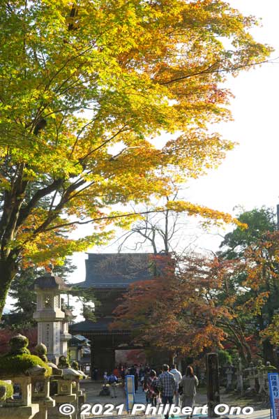Niomon Gate
Keywords: gifu ibigawa tanigumi-san kegonji temple tendai Buddhist autumn foliage leaves
