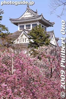 Ogaki Castle
Keywords: gifu ogaki castle cherry blossoms sakura