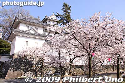 Inui Turret
Keywords: gifu ogaki castle cherry blossoms sakura 
