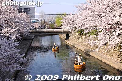 Keywords: gifu ogaki promenade canal castle moat cherry blossoms sakura flowers 