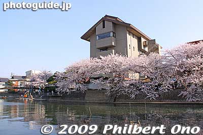 The building in the background is the Oku no Hosomichi Musubi no chi Memorial Hall.
Keywords: gifu ogaki promenade canal castle moat cherry blossoms sakura flowers
