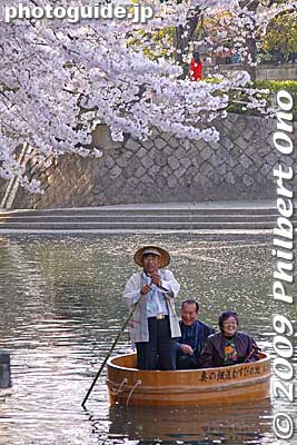 Tarai-bune wooden tub boats and cherry blossoms.
Keywords: gifu ogaki promenade canal castle moat cherry blossoms sakura flowers 