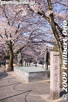 Historical marker for Oku no Hosomichi.
Keywords: gifu ogaki promenade canal castle moat cherry blossoms sakura flowers