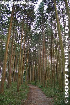 Path to/from Shimazu Yoshihiro's monument.
Keywords: gifu sekigahara battlefield