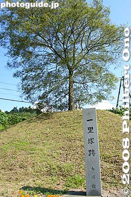 Imasu-juku's Ichirizuka or milestone on the west end of Imasu. 今須宿の一里塚
Keywords: gifu sekigahara imasu-juku post town nakasendo 