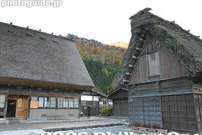 Main house on left and latrine on right with large vats to gather fertilizer.
Keywords: gifu shirakawa-mura village shirakawa-go gassho-zukuri thatched roof minka