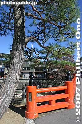 Nakahashi Bridge and pine tree
Keywords: gifu takayama bridge vermillion pine tree