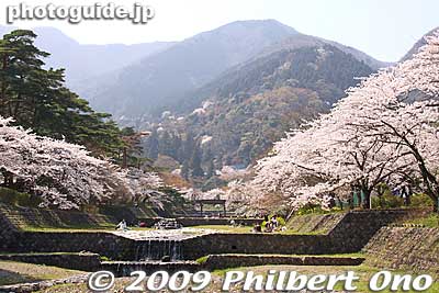Yoro was named by Empress Gensho in the 8th century and proclaimed Yoro as the fountain of youth. She even named her era after Yoro (717-724).
Keywords: gifu yoro-cho yoro park river sakura cherry blossoms 