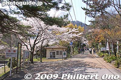 Way to Yoro Falls.
Keywords: gifu yoro-cho yoro park river sakura cherry blossoms 
