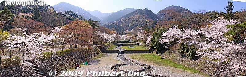 Panoramic shot of Yoro
Keywords: gifu yoro-cho yoro park river sakura cherry blossoms 