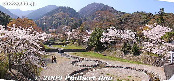 Yoro Park consists of several areas besides the river and waterfall.
Keywords: gifu yoro-cho yoro park river sakura cherry blossoms 