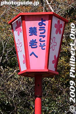 Welcome to Yoro
Keywords: gifu yoro-cho yoro park river sakura cherry blossoms 