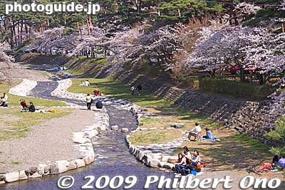 Looking downstream
Keywords: gifu yoro-cho yoro park river sakura cherry blossoms 