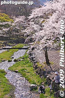 Yoro, Gifu
Keywords: gifu yoro-cho yoro park river sakura cherry blossoms japanharu
