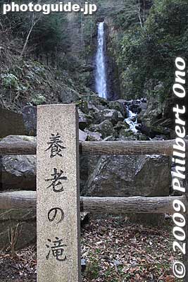 Yoronotaki Falls is one of Japan's 100 Famous Waterfalls and 100 Famous Water Springs.
Keywords: gifu yoro-cho yoro park waterfalls yoro-no-taki falls 