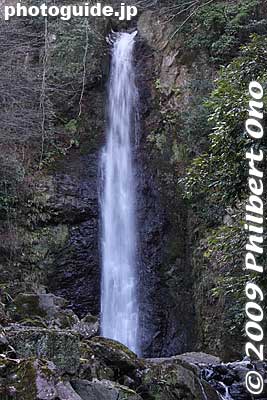 The famous Yoro Falls in Gifu.
Keywords: gifu yoro-cho yoro park waterfalls yoro-no-taki falls japanriver