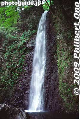 Yoro-no-taki Falls in spring
Keywords: gifu yoro falls