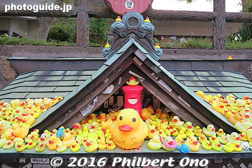 Rubber duckies won at the shooting arcade game.
Keywords: gunma gumma shibukawa ikaho spa onsen hot spring