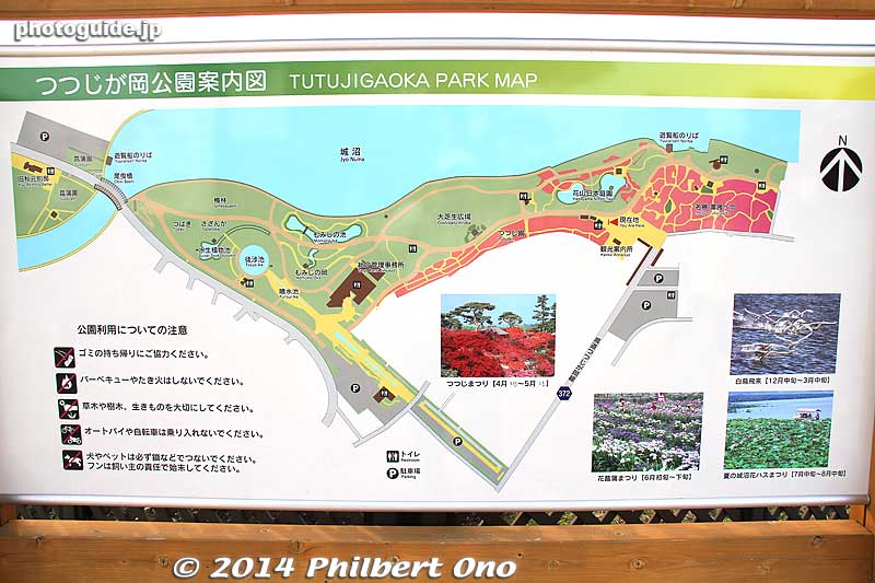 Obiki ferry dock is on the left above the bridge on this map.
Keywords: gunma tatebayashi azalea flowers tsutsujigaoka park