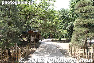 Keywords: gunma tatebayashi morinji temple soto zen trees pine