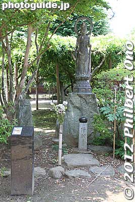 Keywords: gunma tatebayashi morinji temple soto zen trees