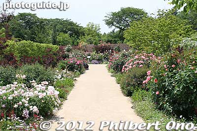 There are a number of rose-lined paths.
Keywords: gunma tatebayashi treasures garden roses flowers