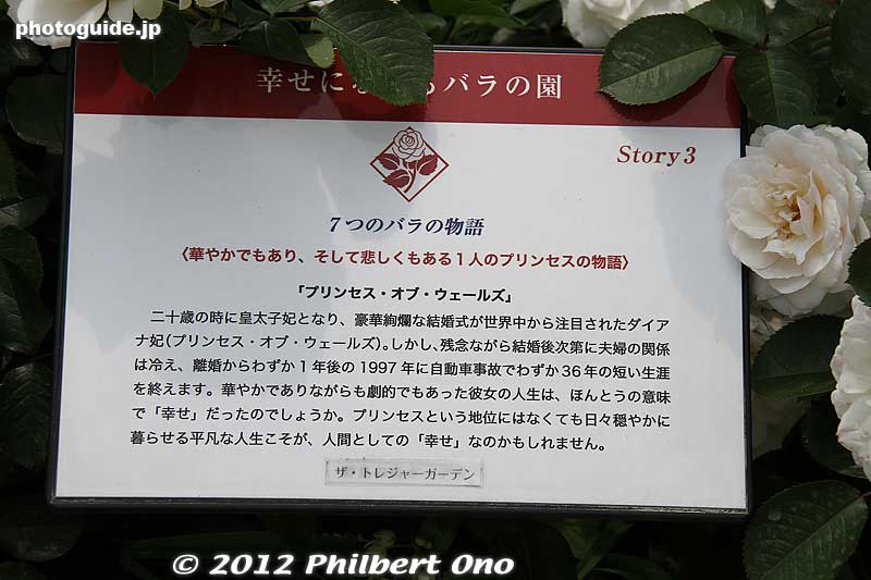 No English.
Keywords: gunma tatebayashi treasures garden roses flowers